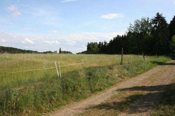 Die Aufstellung des B-Plans Nr. 70 "Zur hohen Furche" konnte verhindert werden.